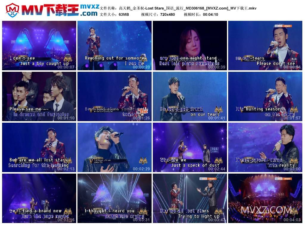 高天鹤_金圣权-Lost Stars_国语_流行_MD306168